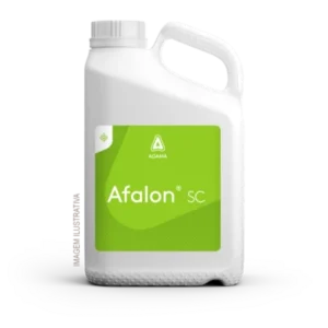 AFALON SC