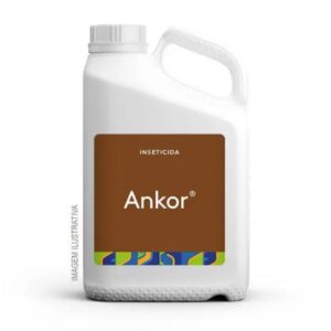 ANKOR