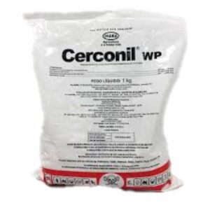 CERCONIL WP