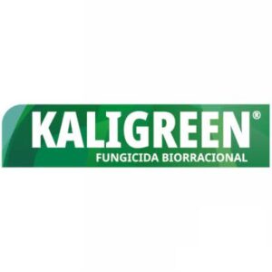 KALIGREEN