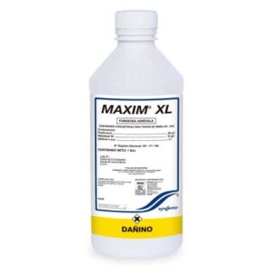 MAXIM XL