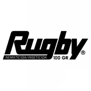RUGBY 100 GR